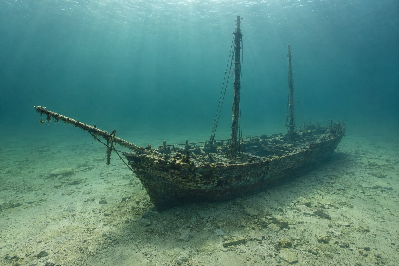 Artistic impression of the Sea Star