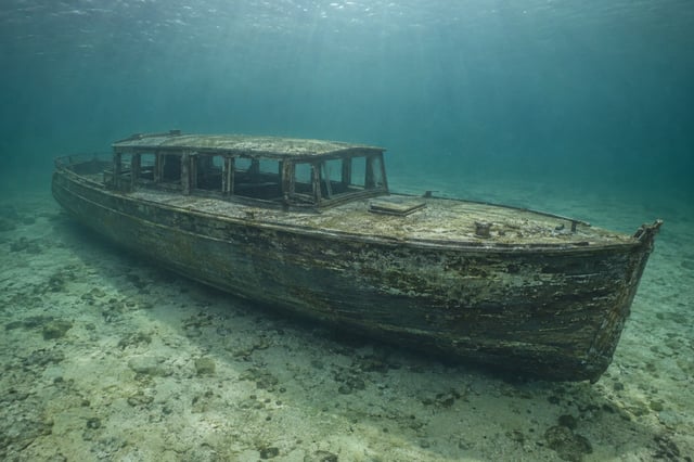 Artistic impression of the Francis IV