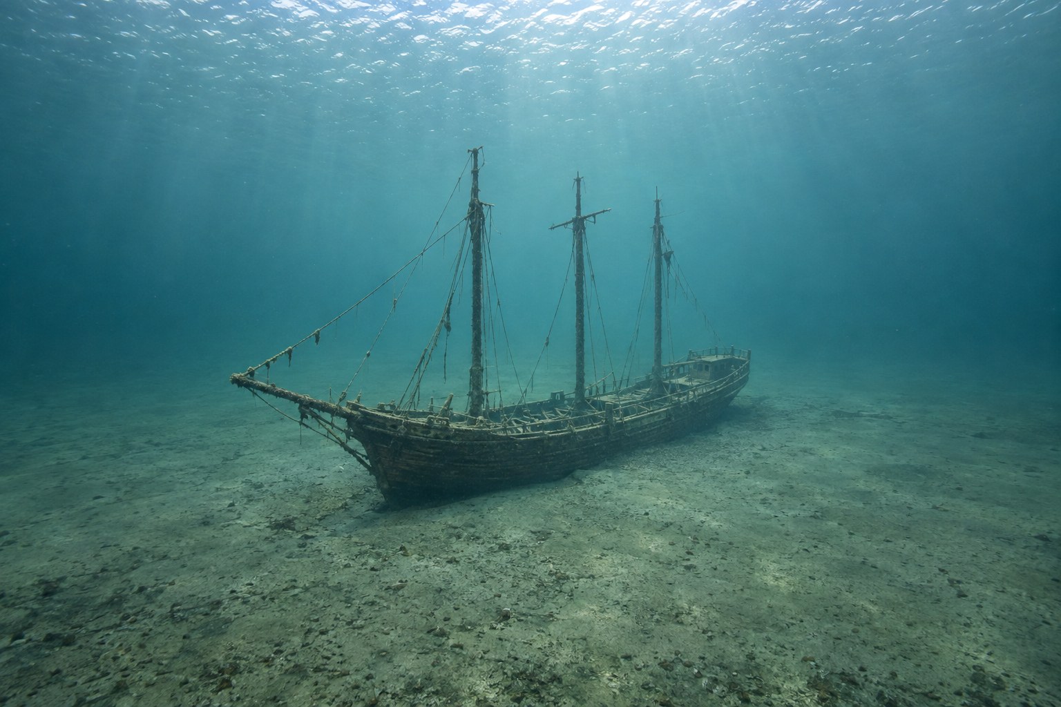 Artistic impression of the Evra Fuller