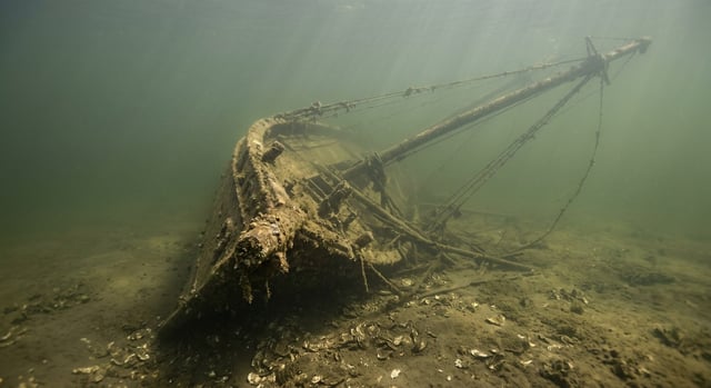 Artistic impression of the Delmy