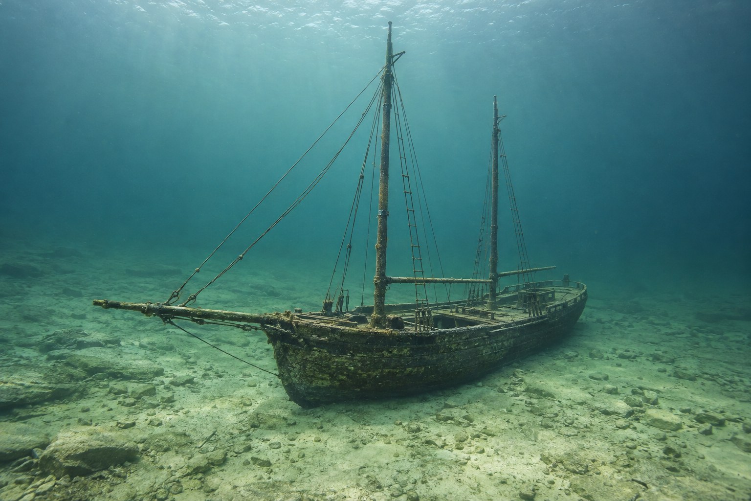 Artistic impression of the Jenny