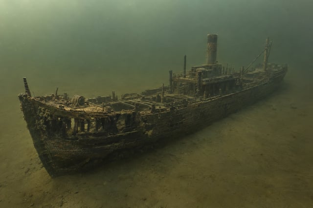 Artistic impression of the Angelina