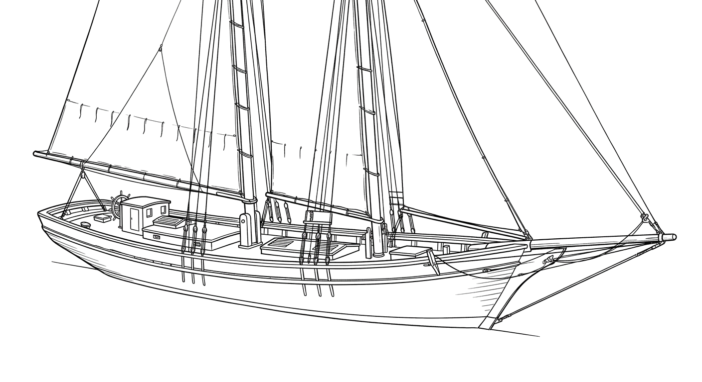 Engraved line drawing of the Widgeon