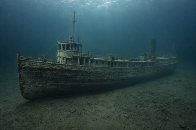 Artistic impression of the Adella Shores
