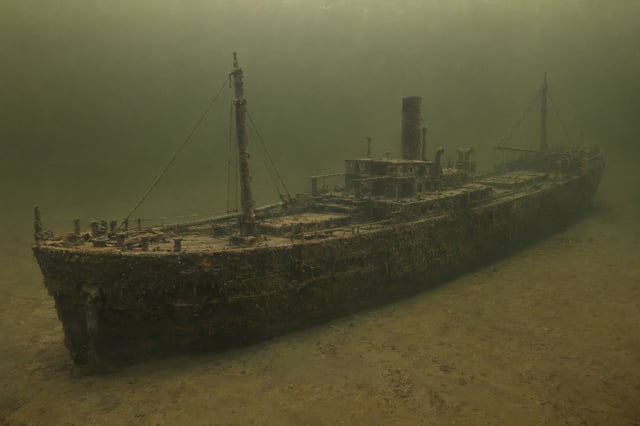 Artistic impression of the Alapaha