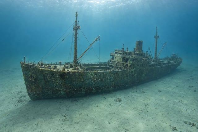 Artistic impression of the Bayard