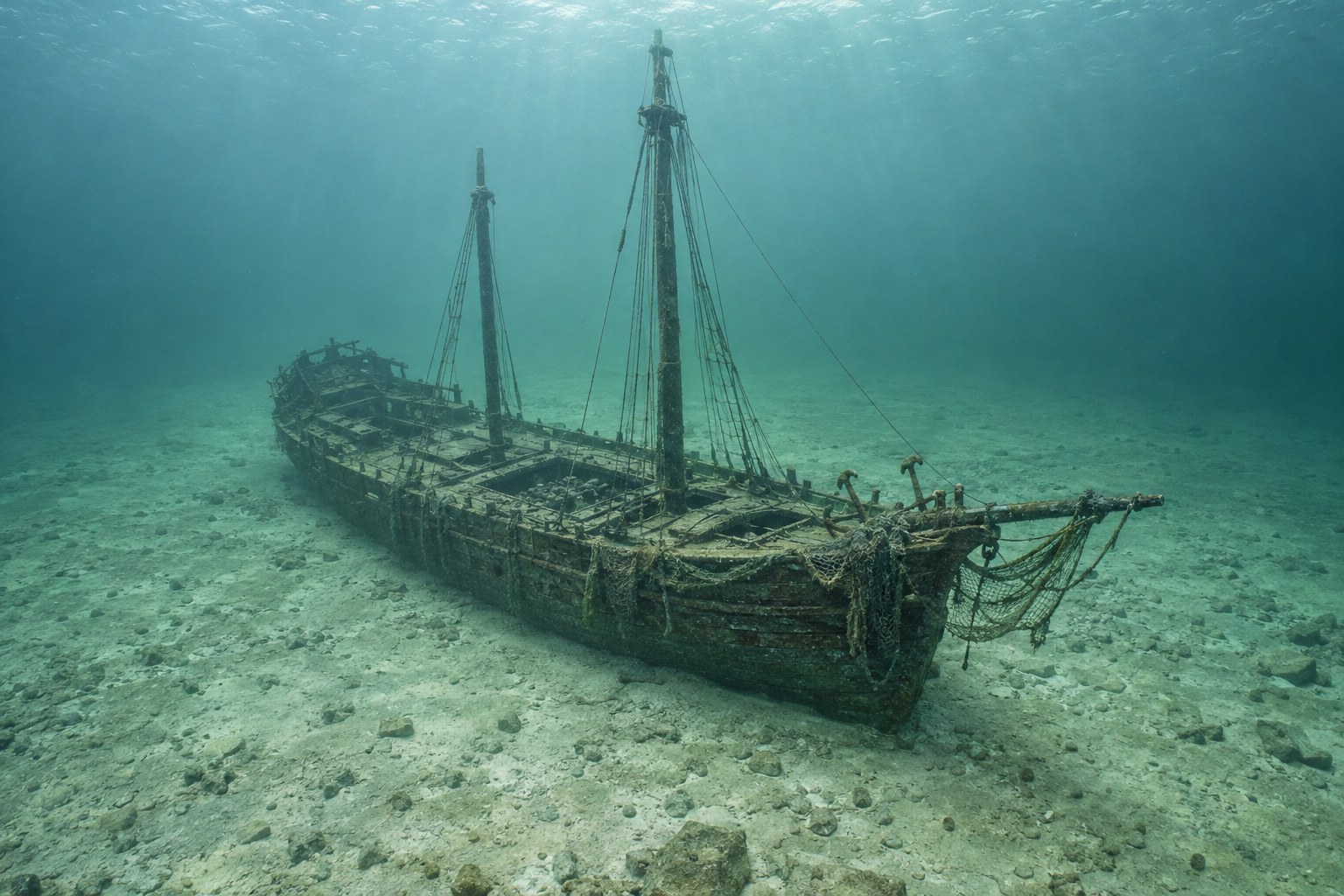 Artistic impression of the Floretta