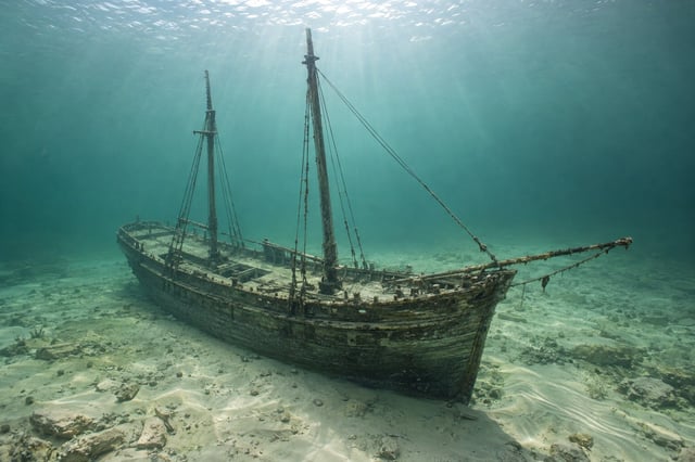 Artistic impression of the Sea Bird