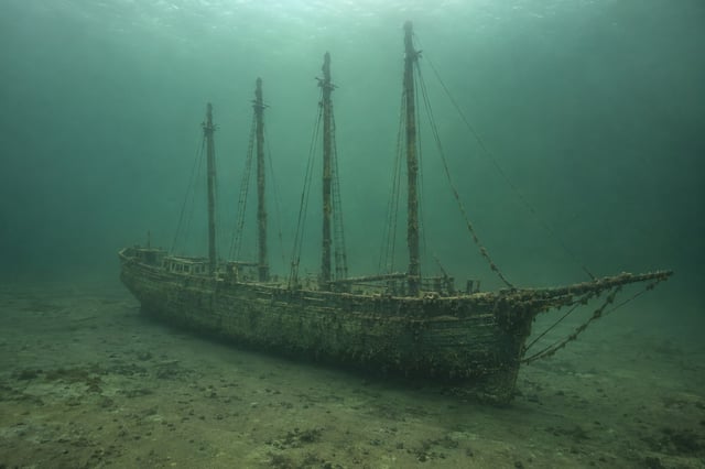 Artistic impression of the Singleton Palmer
