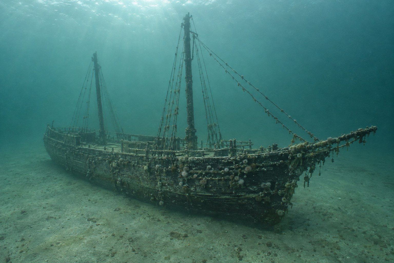 Artistic impression of the Kate Markee