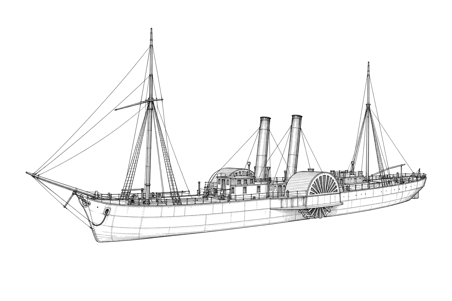 Engraved line drawing of the Raccoon