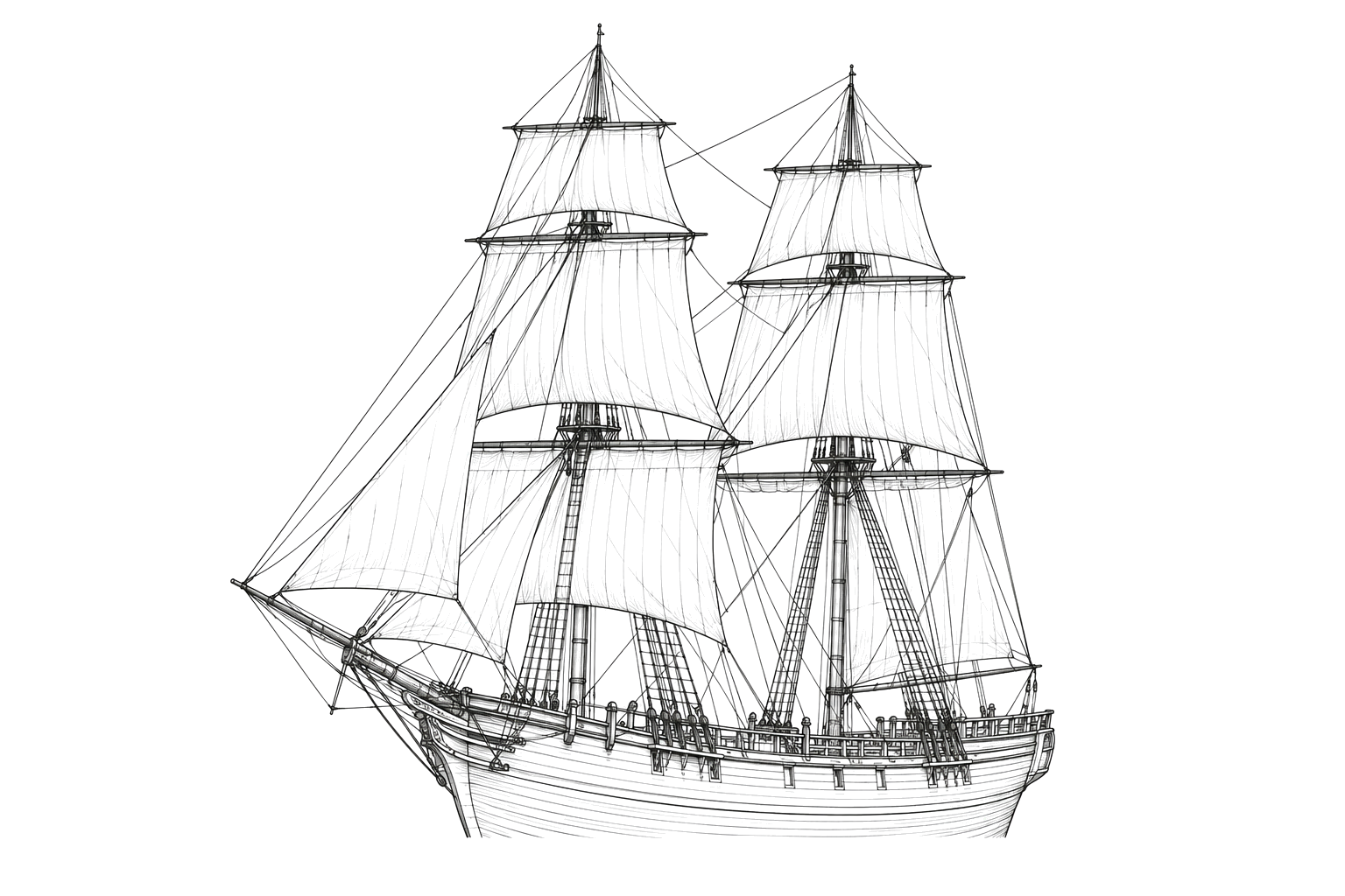 Engraved line drawing of the Young Anaconda