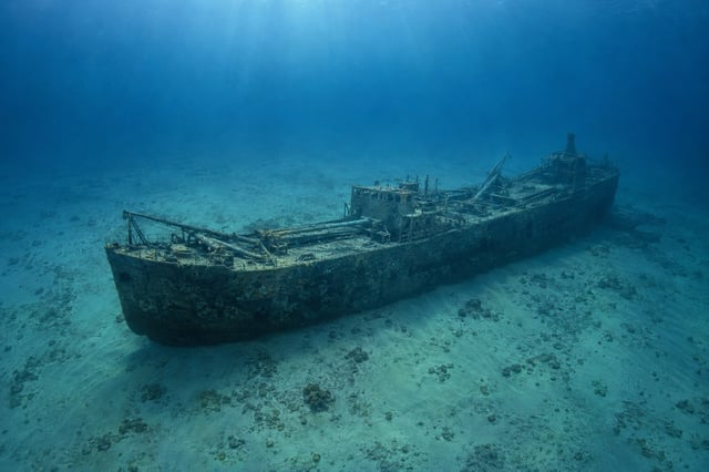 Artistic impression of the Bluefields