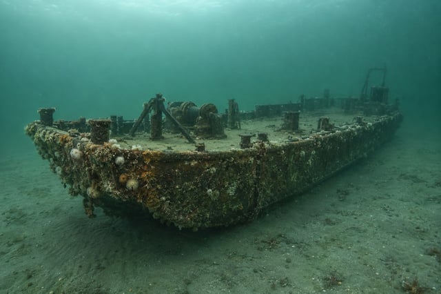 Artistic impression of the Coleman II
